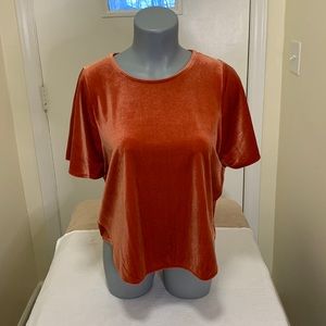 Madewell Burnt Orange Velvet Butterfly Top Size Small